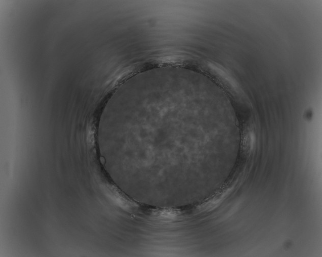 X0000094790282200711241408