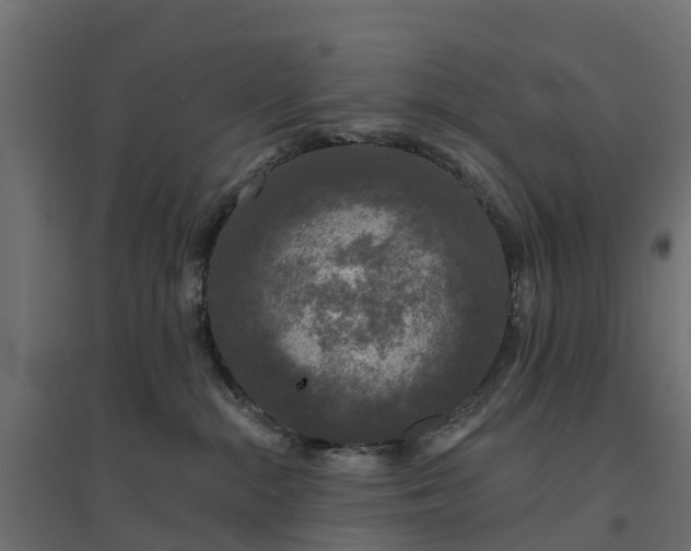 X0000094790284200711241408