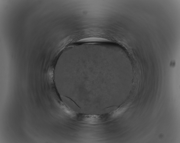 X0000094790288200711241408