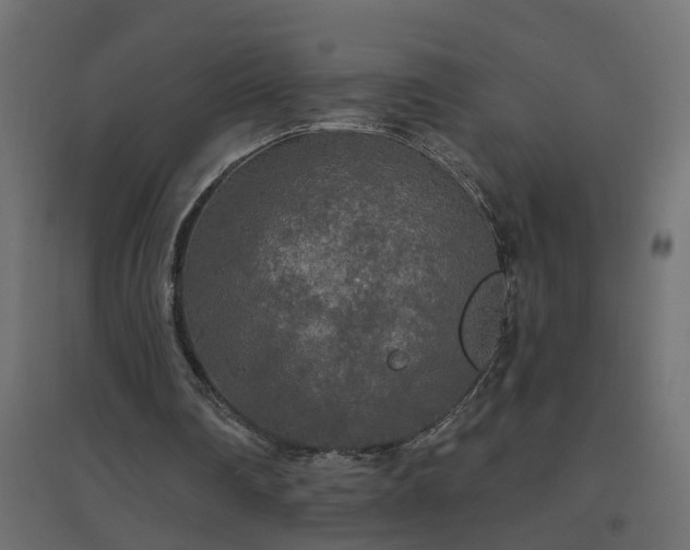 X0000094790290200711241408