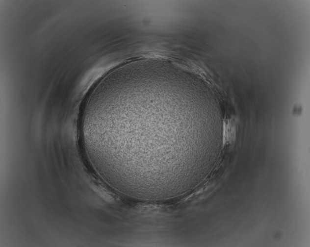 X0000094790291200711241408