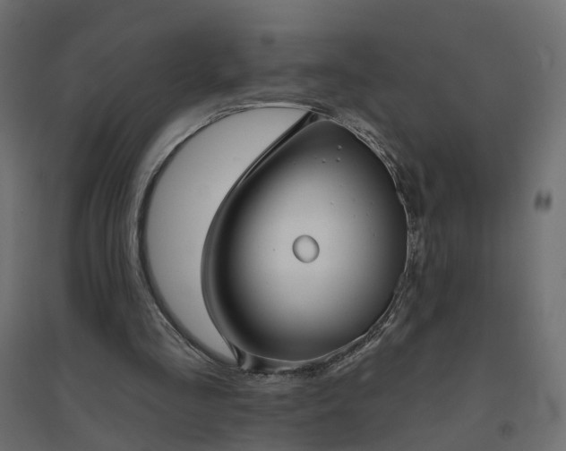 X0000094790293200711241408