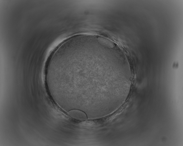 X0000094790294200711241408