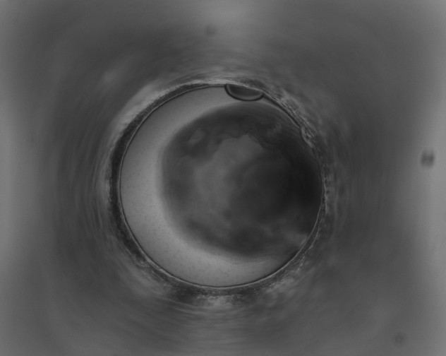 X0000094790295200711241408