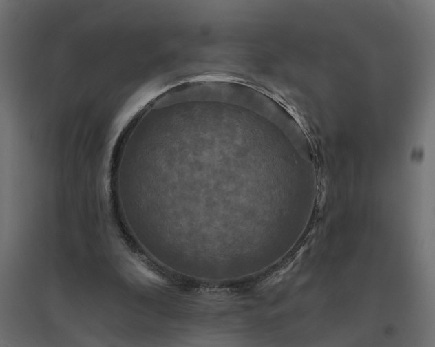 X0000094790296200711241408