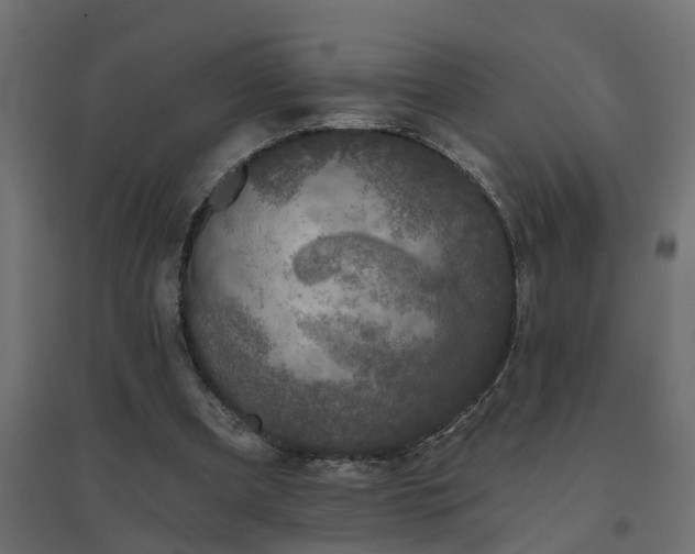 X0000094790297200711241408