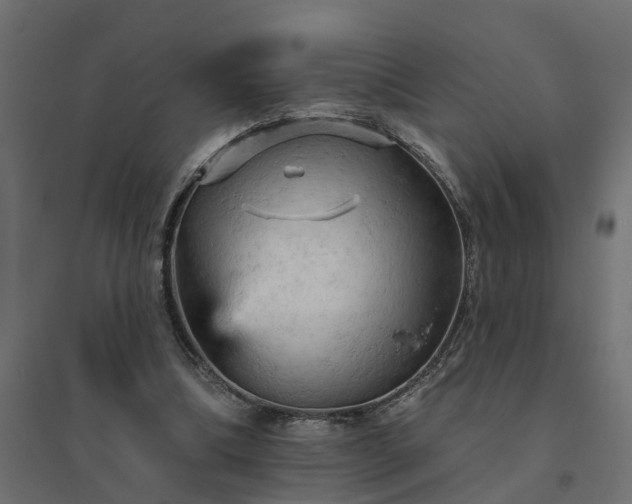 X0000094790298200711241408