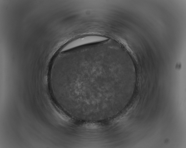 X0000094790299200711241408