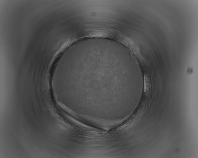 X0000094790300200711241408