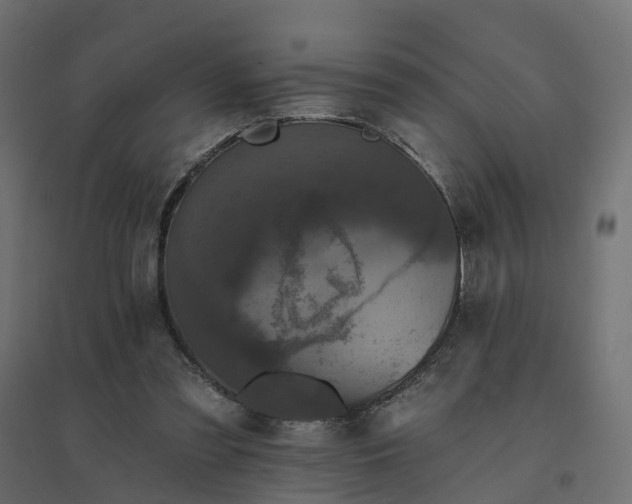 X0000094790301200711241408