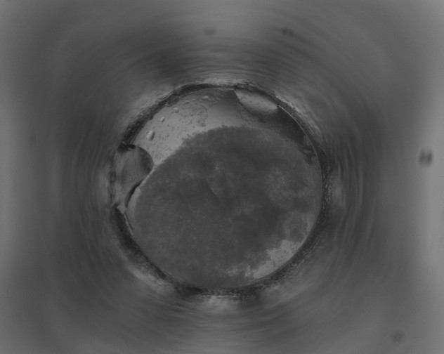 X0000094790303200711241408