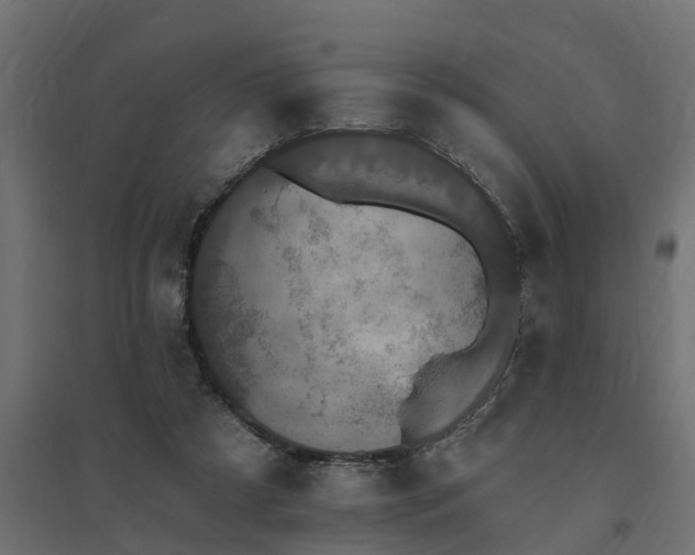 X0000094790305200711241408