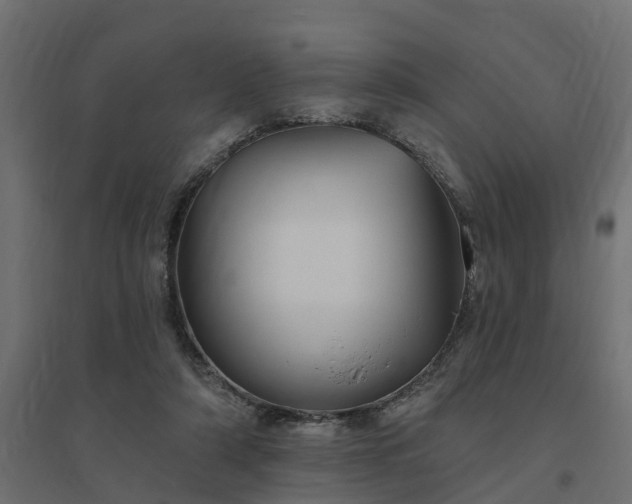 X0000094790306200711241408