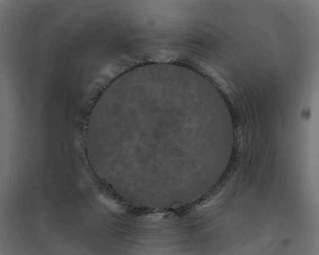 X0000094790307200711241407