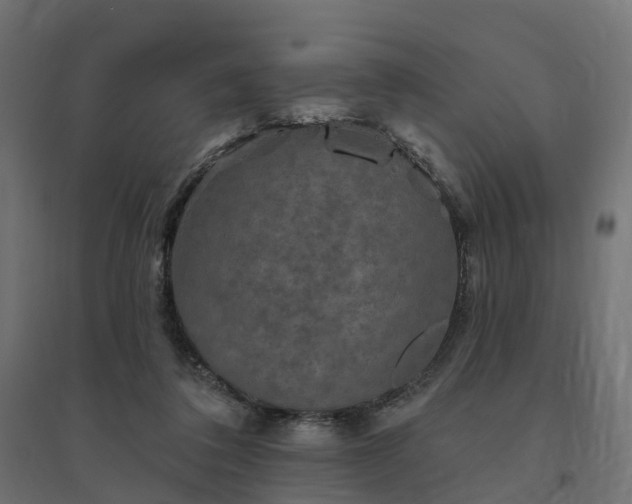 X0000094790308200711241407