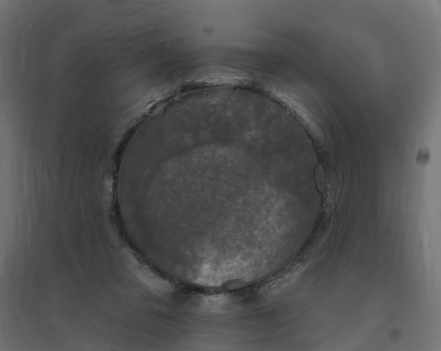 X0000094790309200711241407