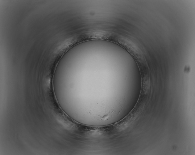 X0000094790310200711241407