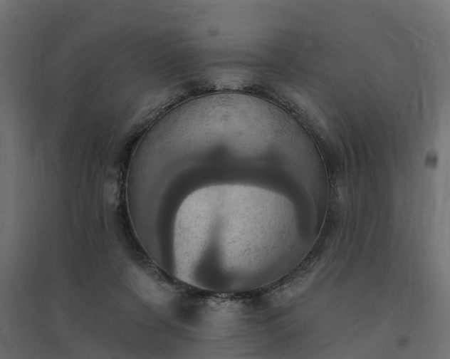 X0000094790311200711241407