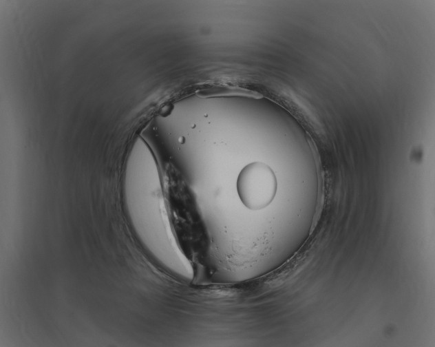 X0000094790313200711241407