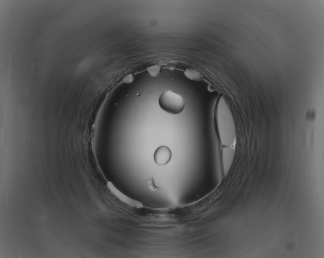 X0000094790316200711241407