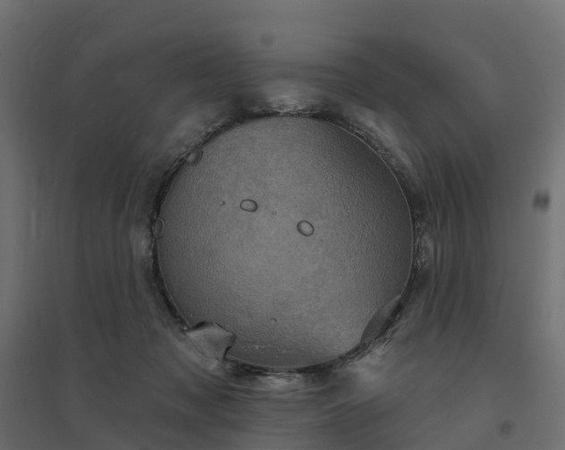 X0000094790317200711241407