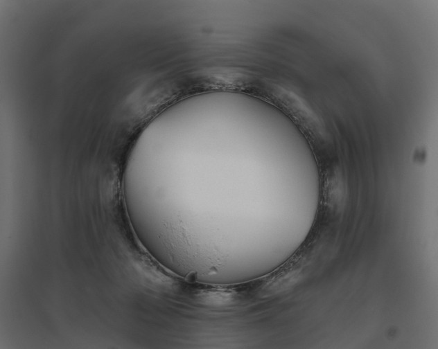 X0000094790318200711241407