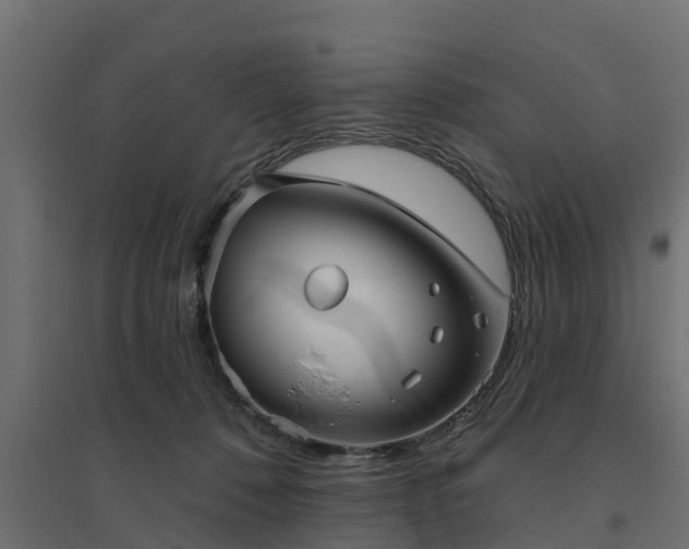 X0000094790320200711241407