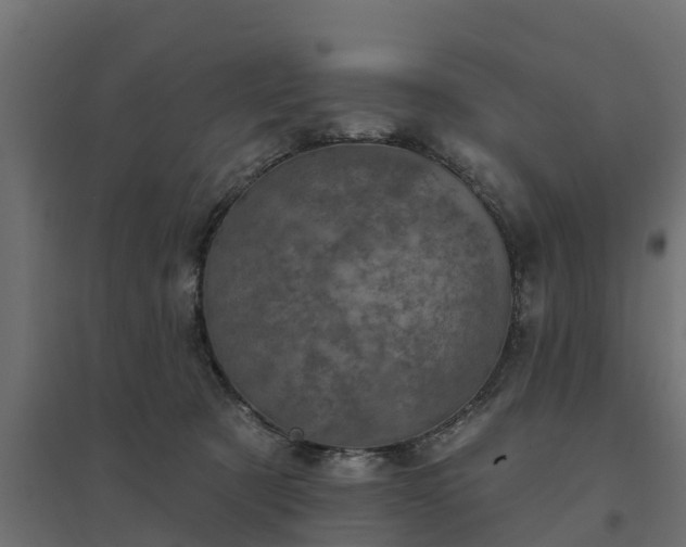 X0000094790321200711241407