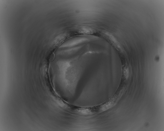 X0000094790322200711241407