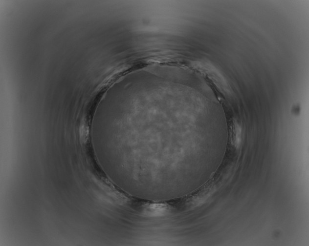 X0000094790324200711241407