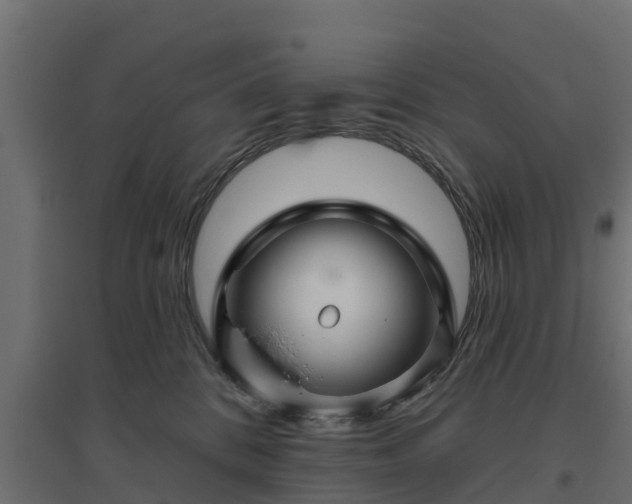 X0000094790328200711241407