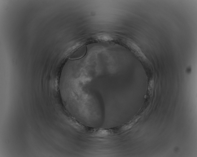 X0000094790330200711241407