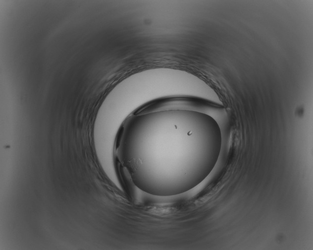 X0000094790332200711241407