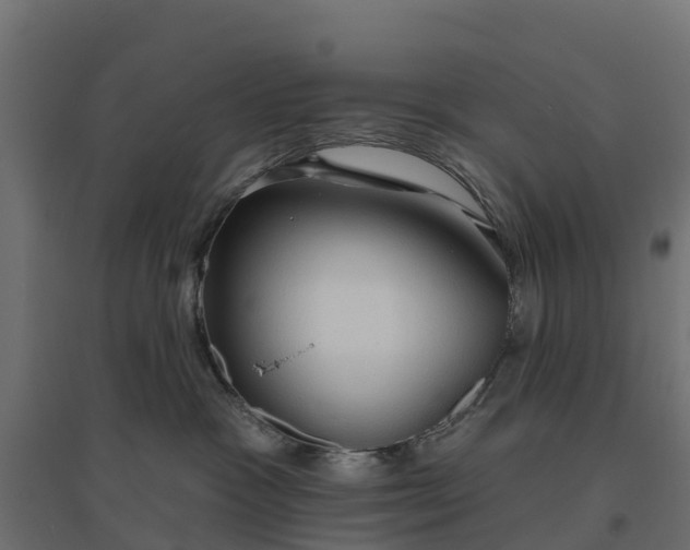 X0000094790333200711241407