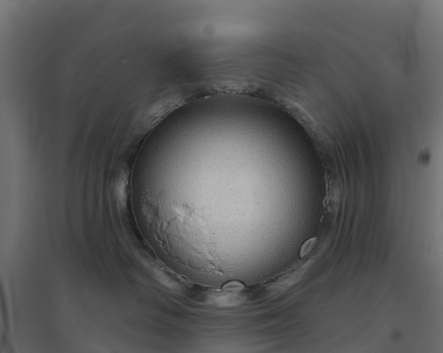 X0000094790334200711241407