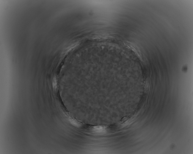 X0000094790335200711241407