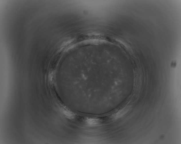 X0000094790336200711241407