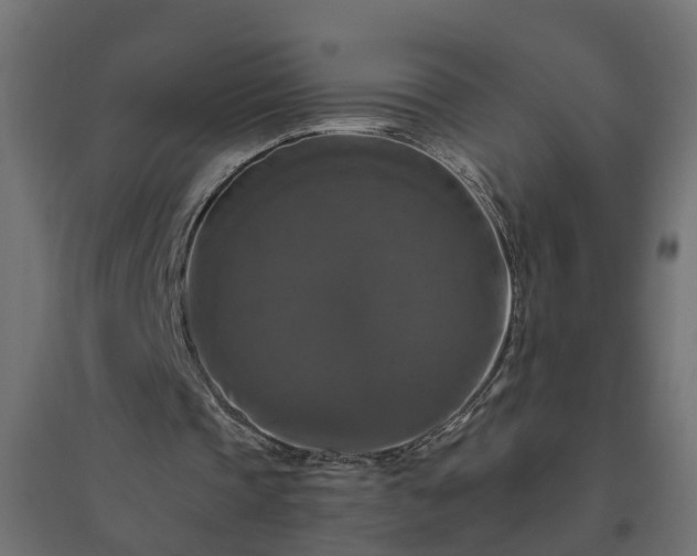 X0000094790337200711241406