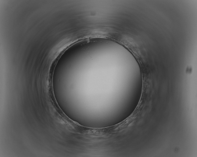 X0000094790338200711241406