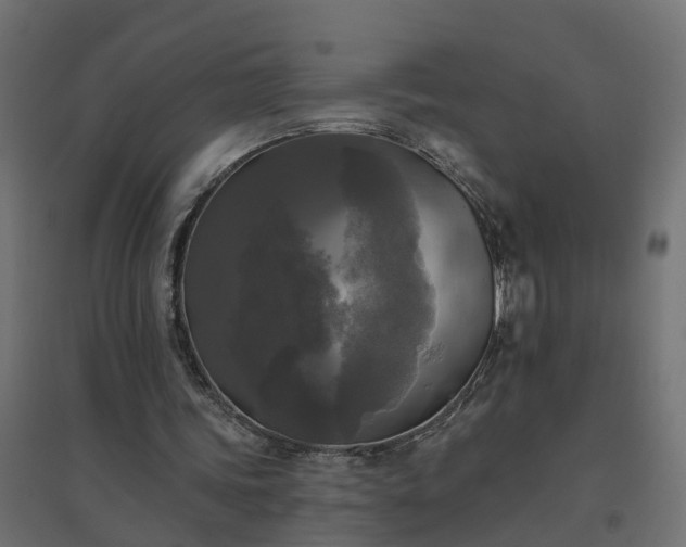 X0000094790339200711241406