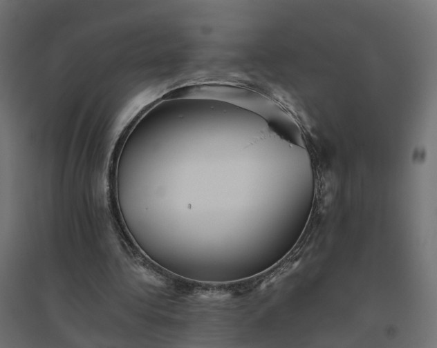 X0000094790340200711241406