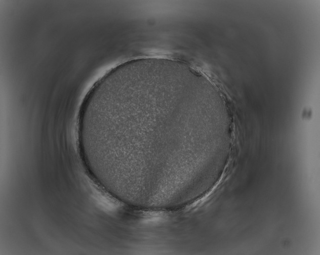 X0000094790342200711241406