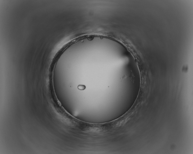 X0000094790344200711241406