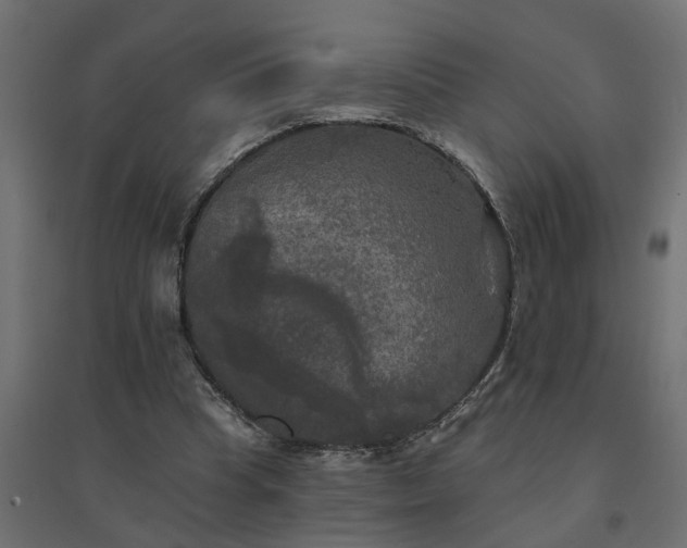 X0000094790345200711241406