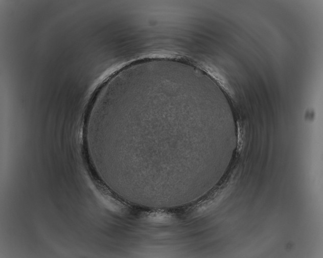 X0000094790348200711241406