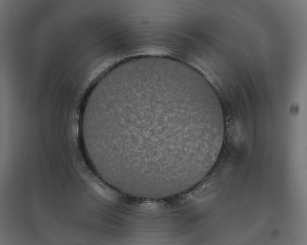 X0000094790350200711241406