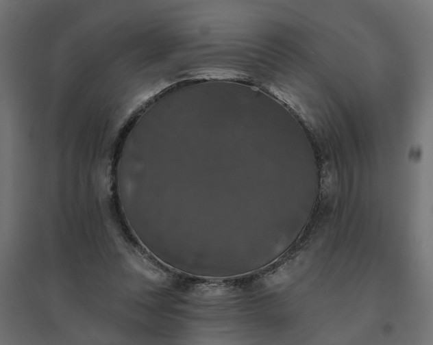 X0000094790351200711241406