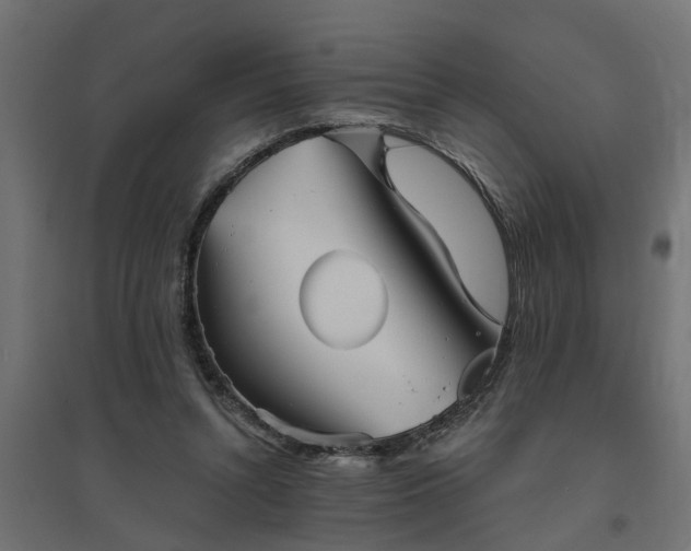 X0000094790352200711241406