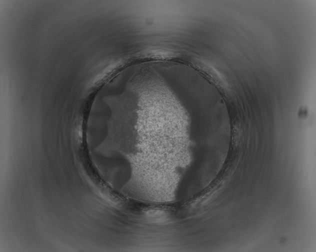 X0000094790358200711241407