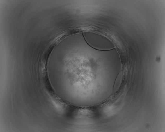 X0000094790360200711241407